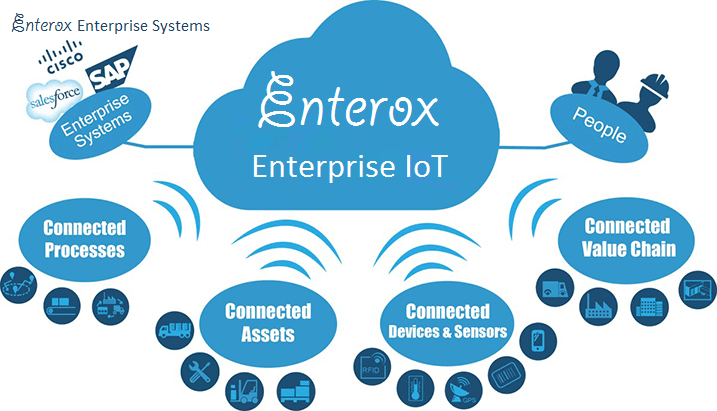 Enterprise System and Internet of Things