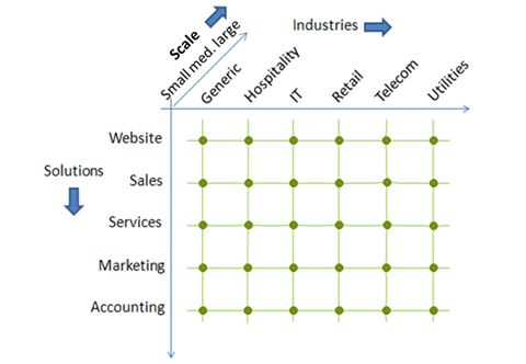 ERP Information System across Industries and Scale